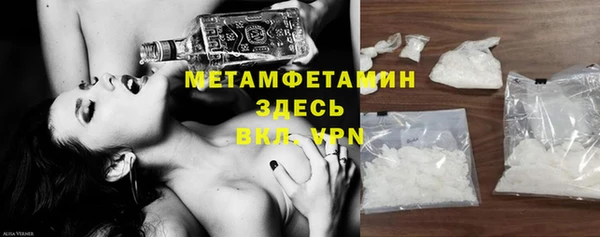 мет Алексин