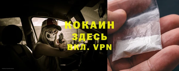 мет Алексин