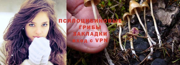 винт Алексеевка