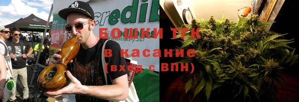 мет Алексин