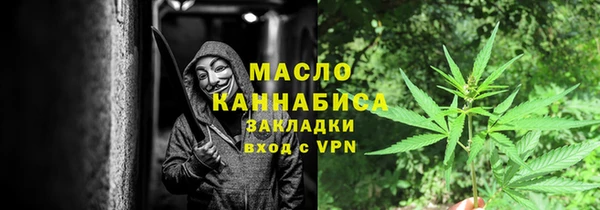 мет Алексин