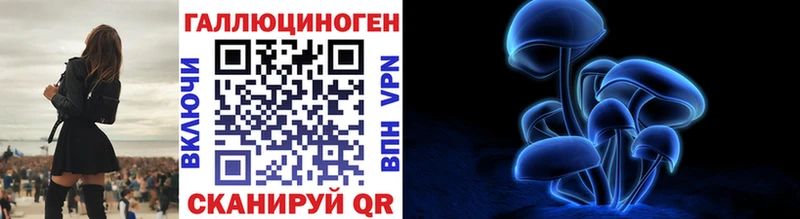 закладки  Орлов  Псилоцибиновые грибы ЛСД 